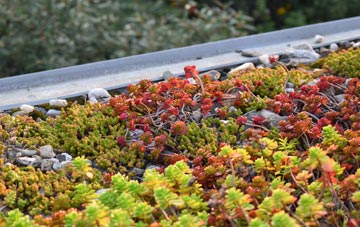 the cost of Mawthorpe green roof installation