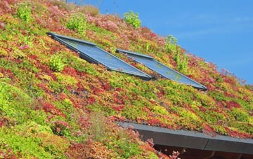 Mawthorpe living roof systems