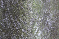 Mawthorpe fibreglass roof work